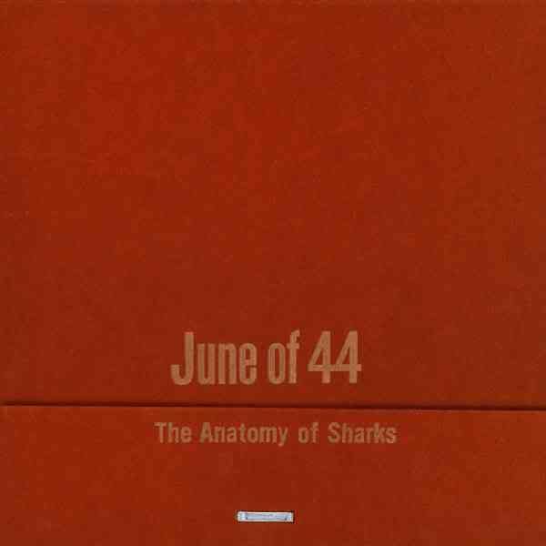 the anatomy of sharks june of 44 