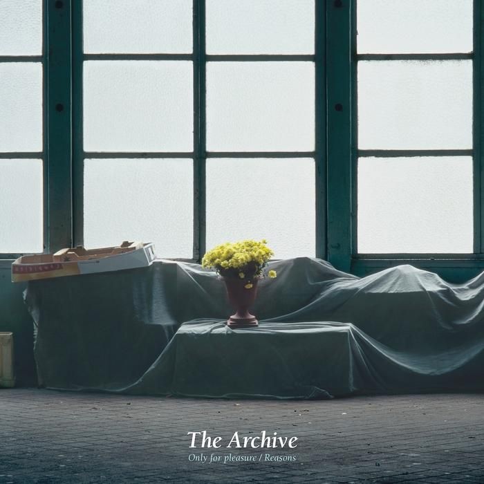the archive the archive  