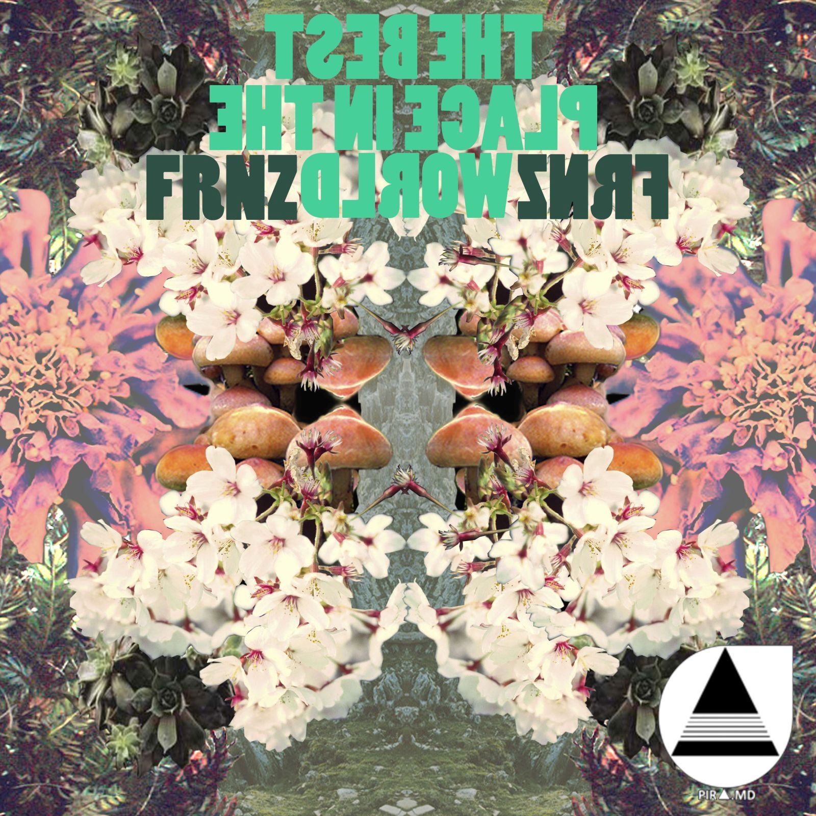 the best placein the frnzfrnz 