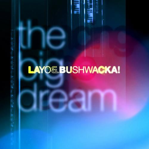 the big dream layo bushwacka  