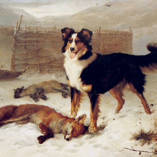 the big hunt the lonesome souther 