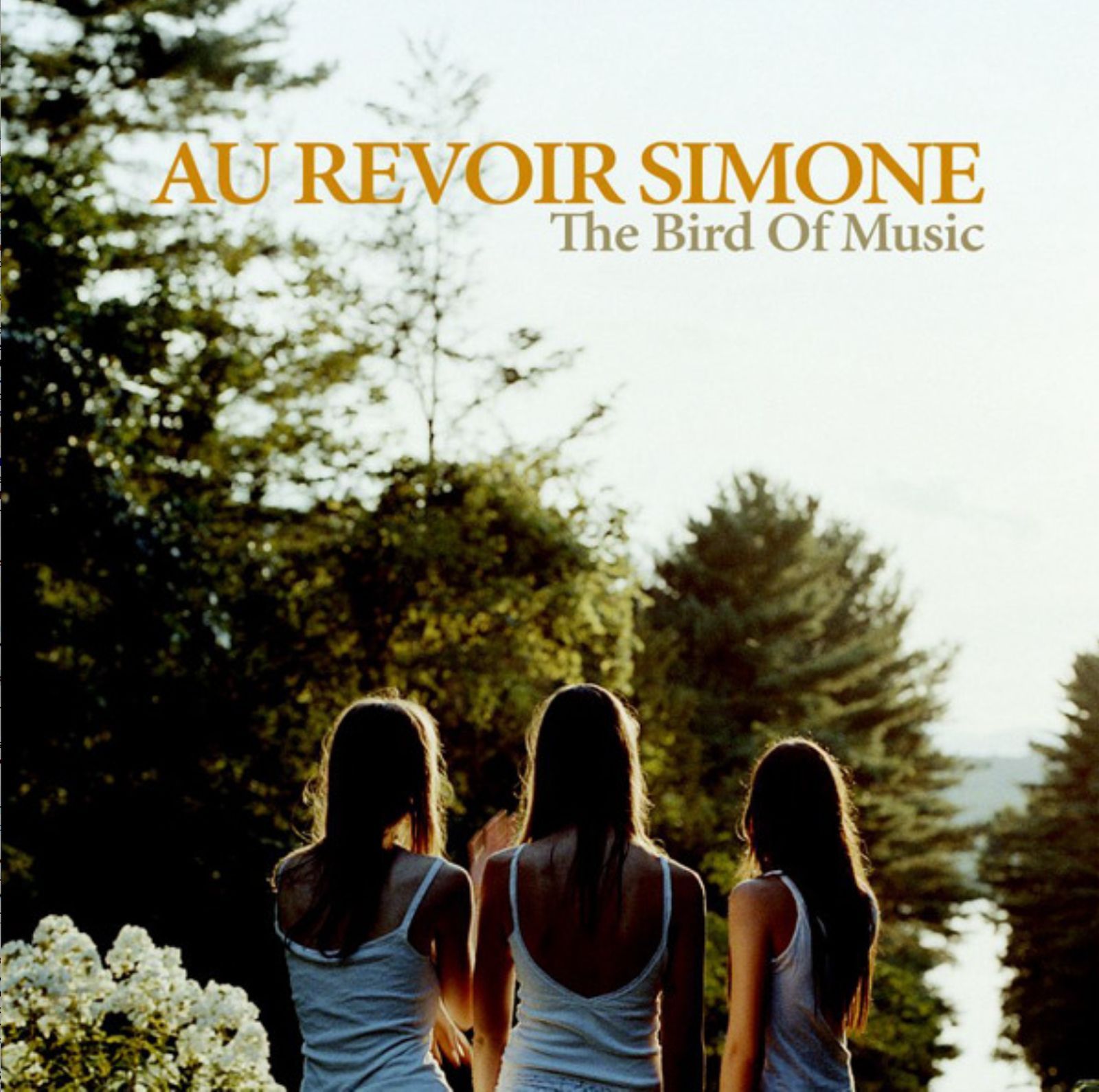 the bird of music au revoir simone 