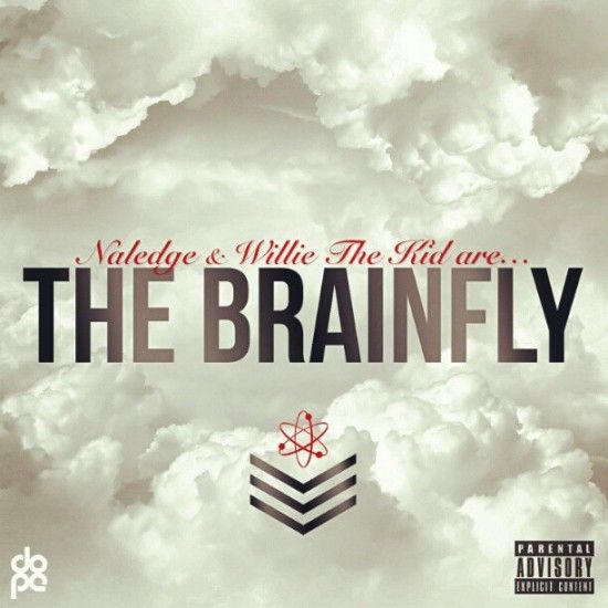the brainfly naledge  