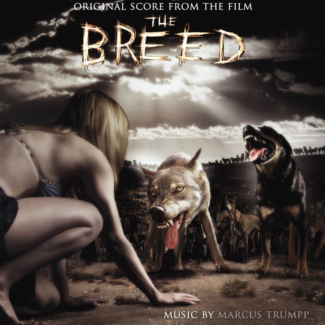 the breed marcus trumpp 