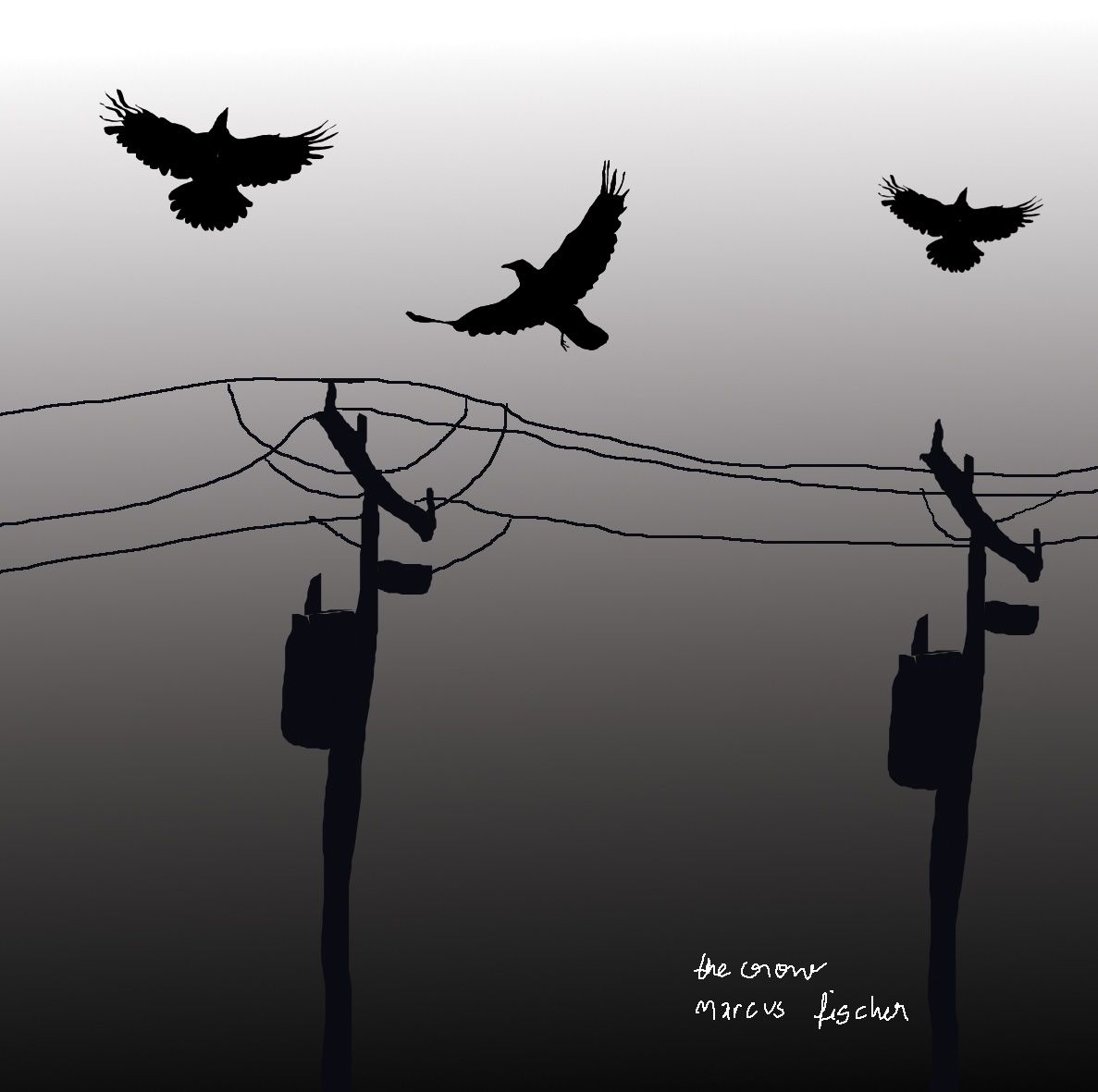 the crow the commo gail priest 