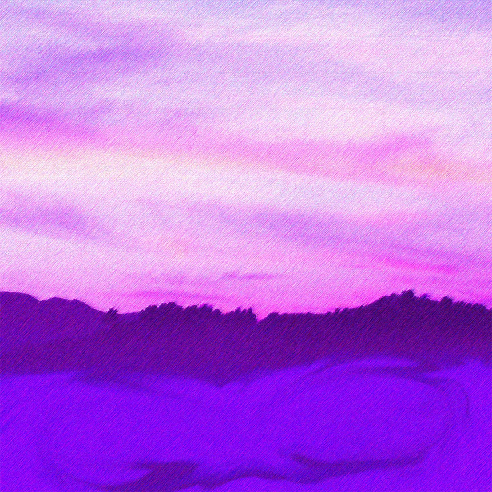 the feelies seedmole  