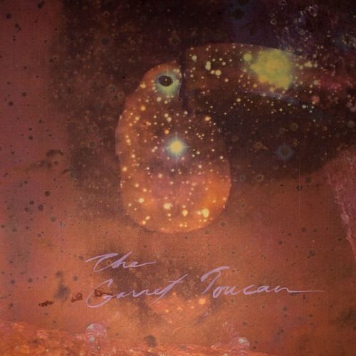 the garnet toucan monopoly child star  