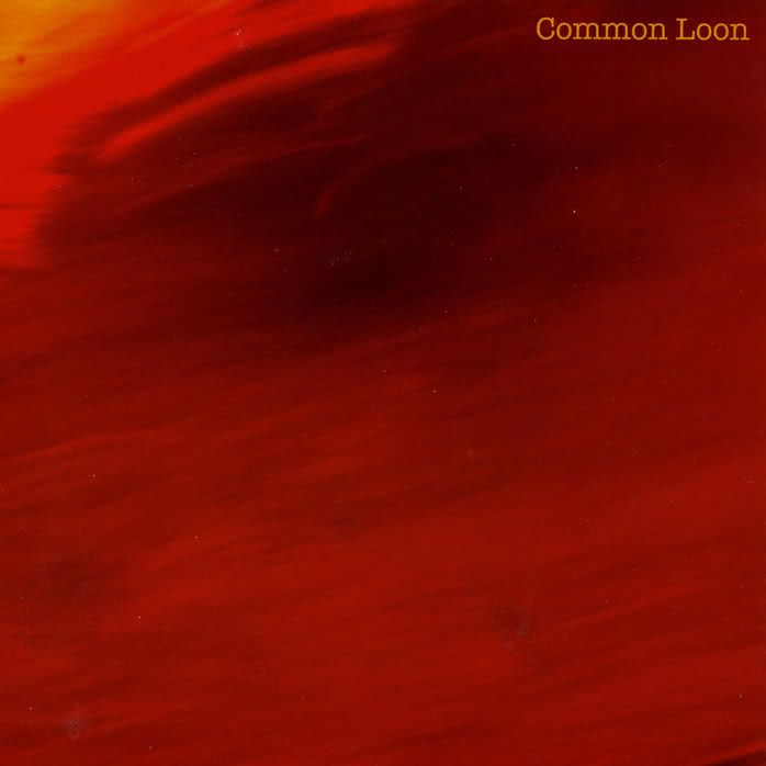 the long dream of bi common loon 