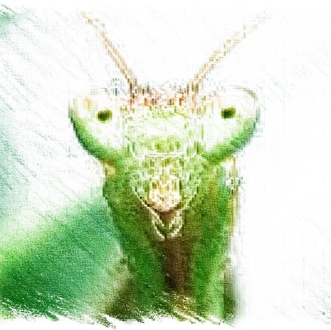 waking life complete freedom 