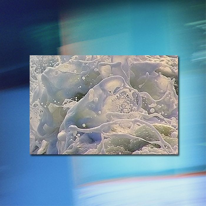 weird ontology snacs  