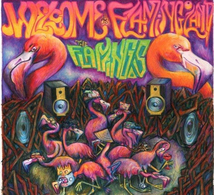 welcome to flamingol the flamingos  