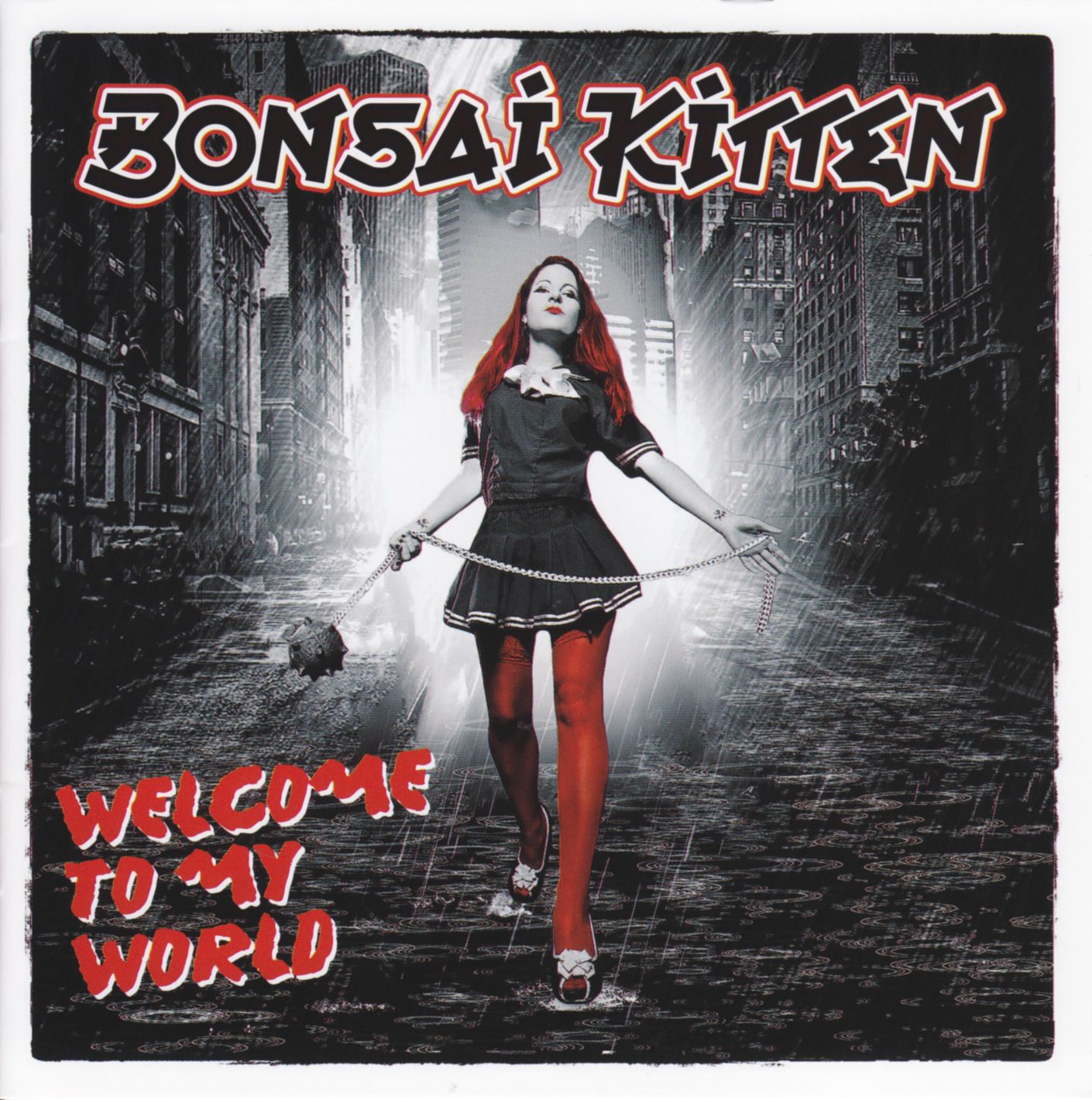 welcome to my world bonsai kitten 