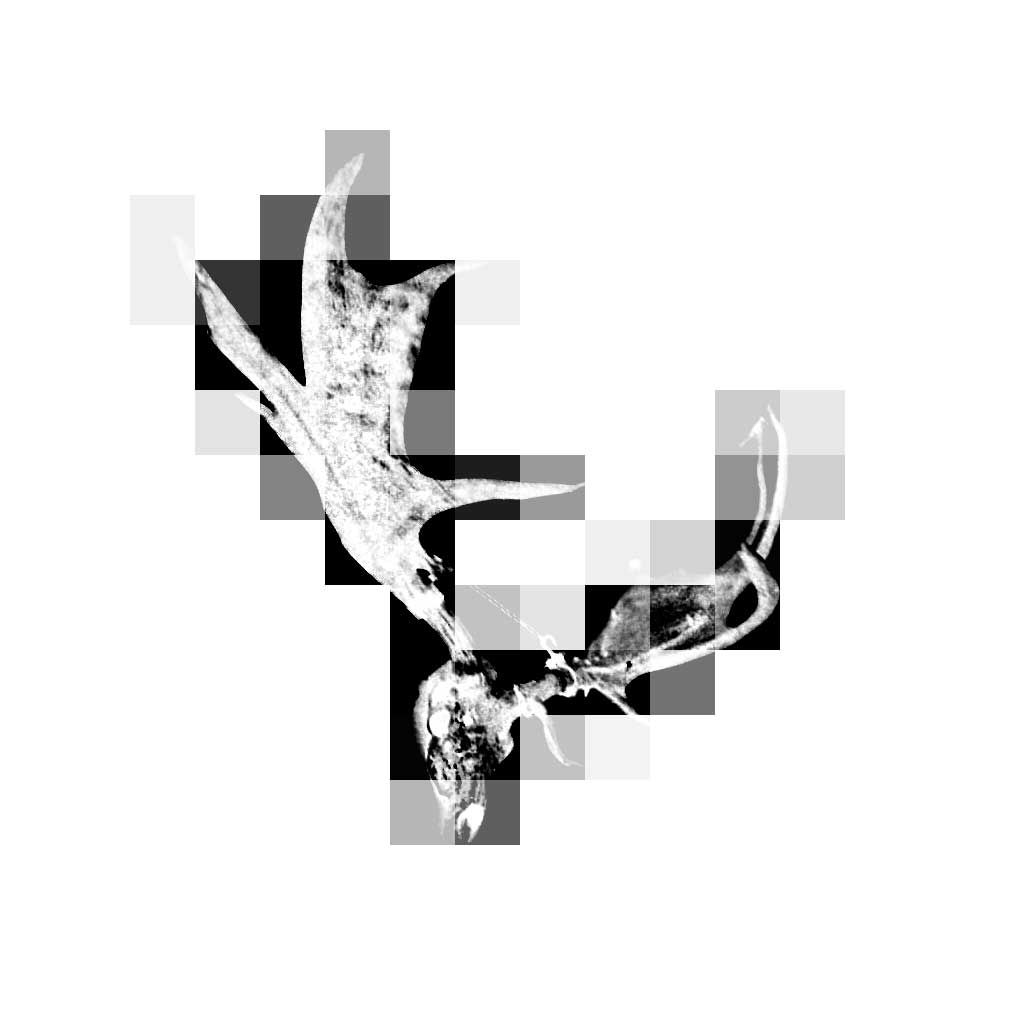 welcome to the dance kanellos  