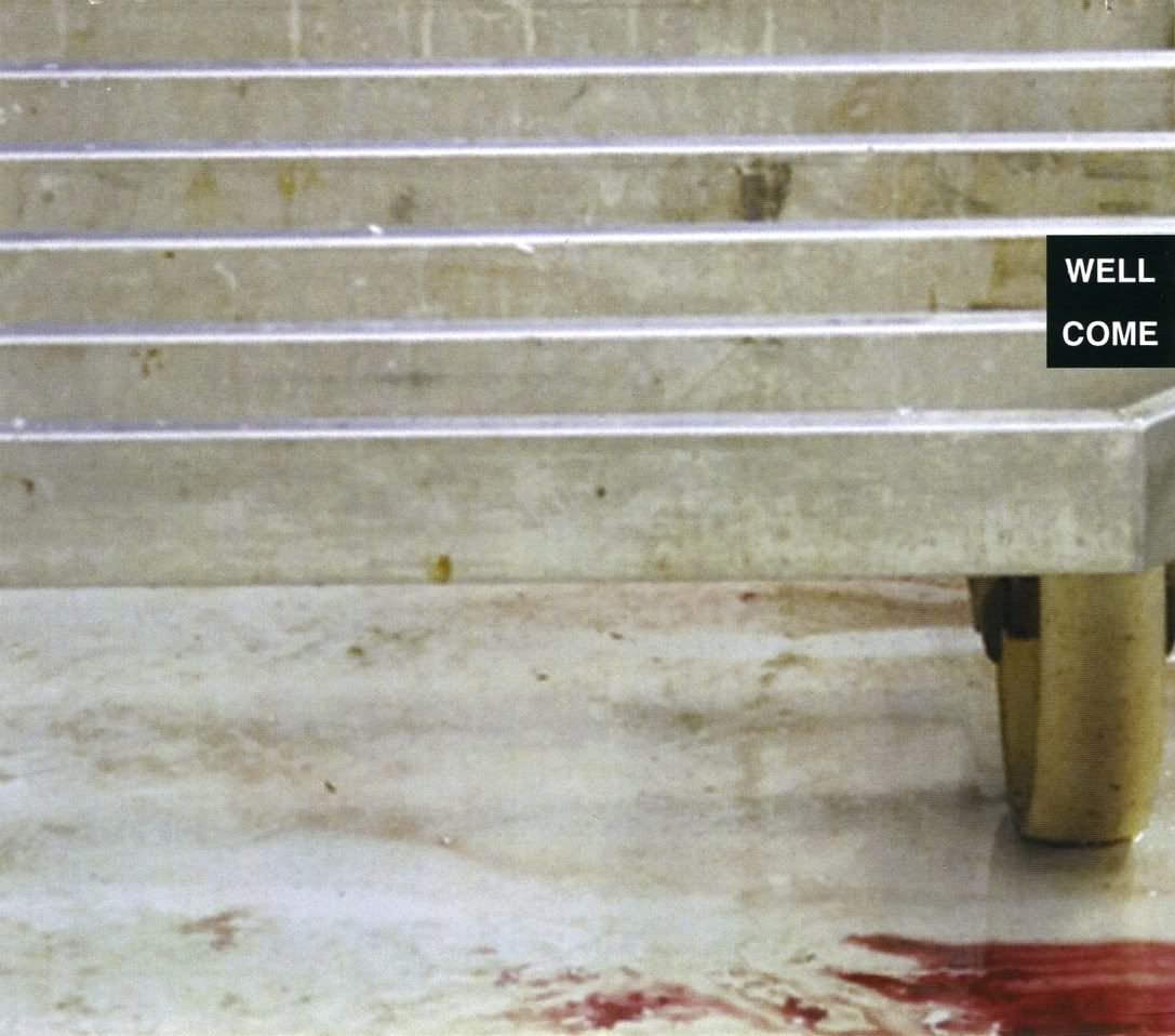 wellcome portion control 