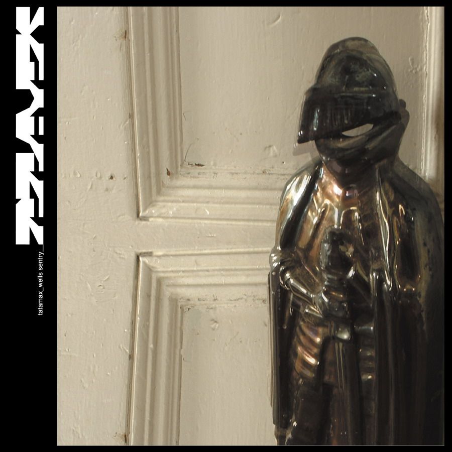 wells sentry tatamax 