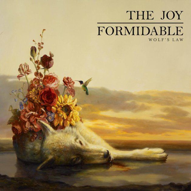wolfs law the joy formidable 