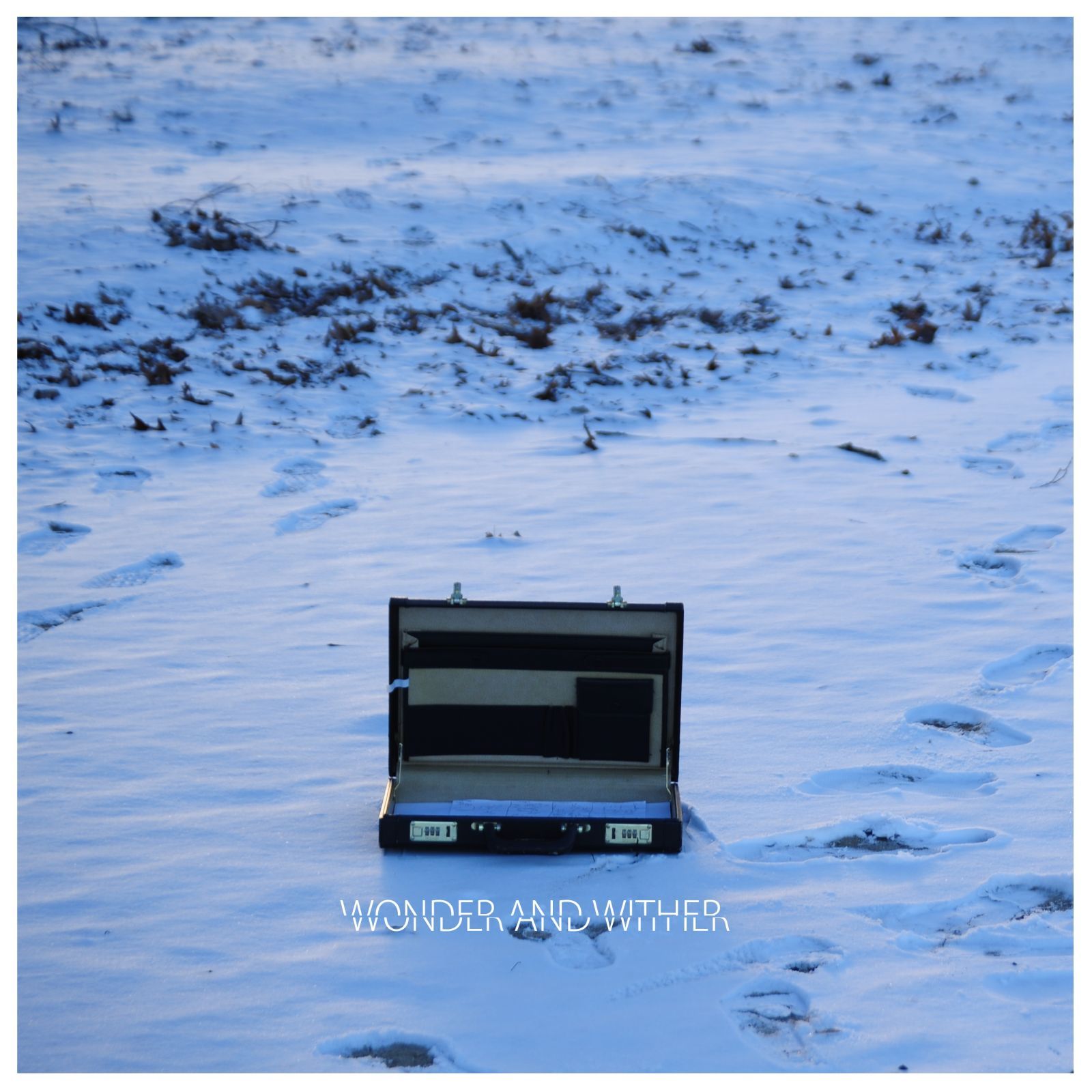 wonder and wither the origin animate 