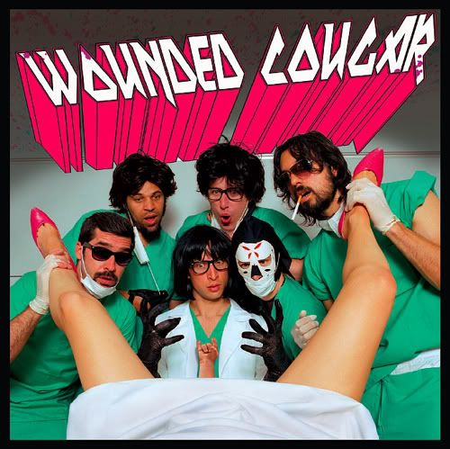 wounded cougar wounded cougar  