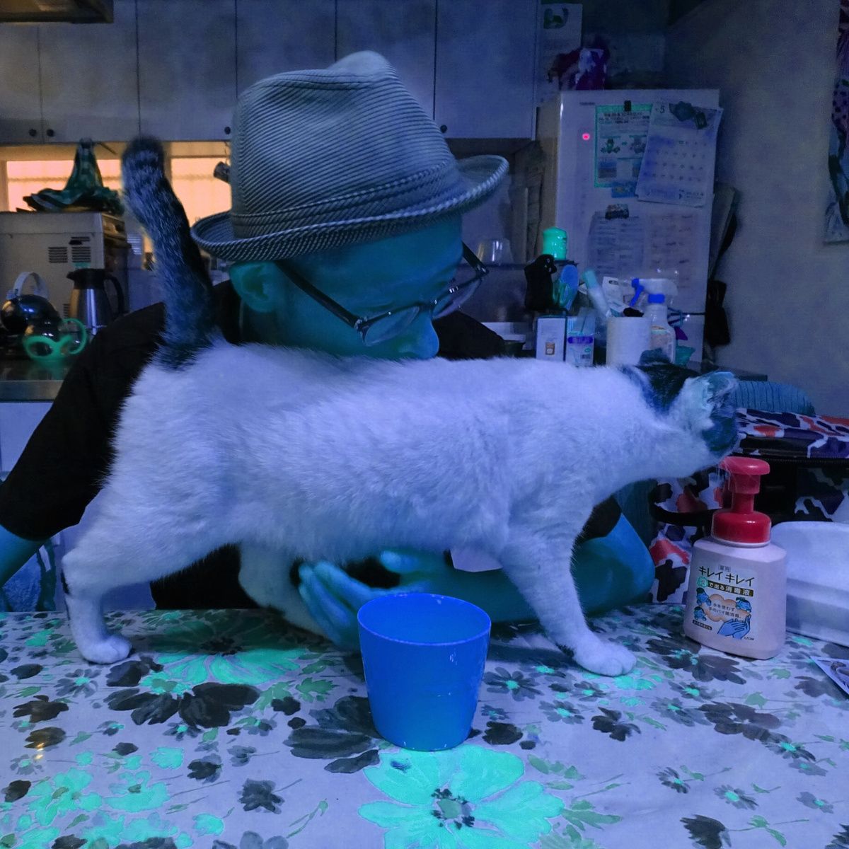 wrap music yorimichi mifune 