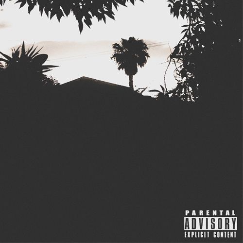 wraptaypesprt5 knxwledge 