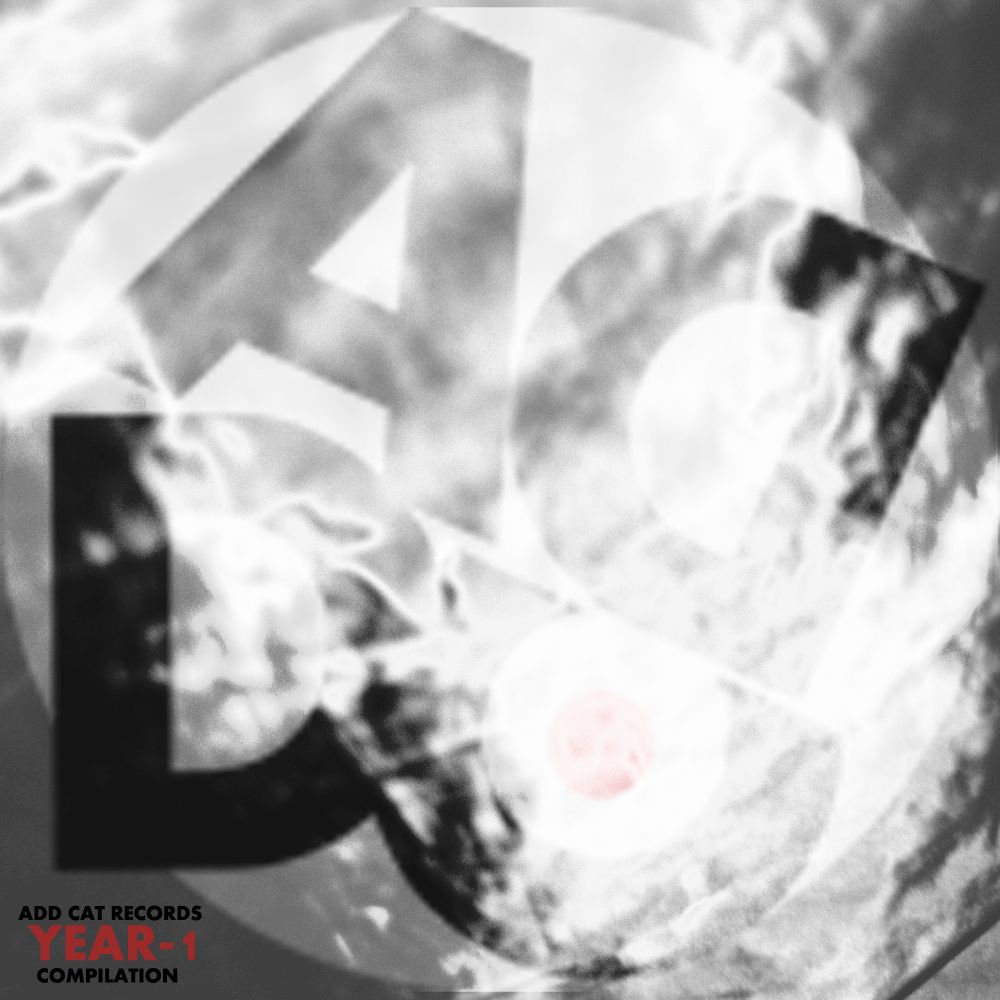 year 1 compilation mikix the cat  