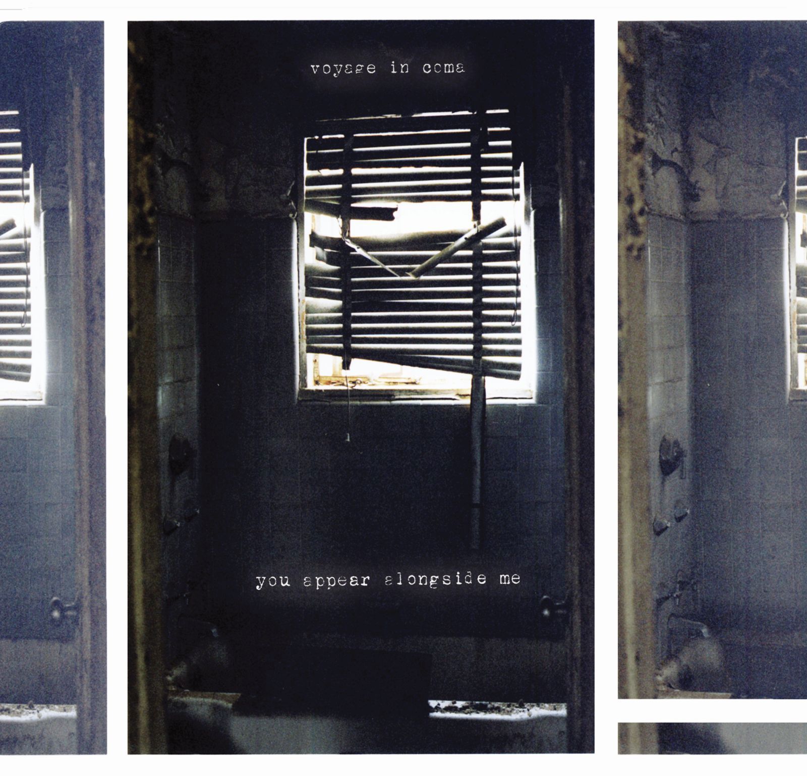 you appear alongside me voyage in coma 