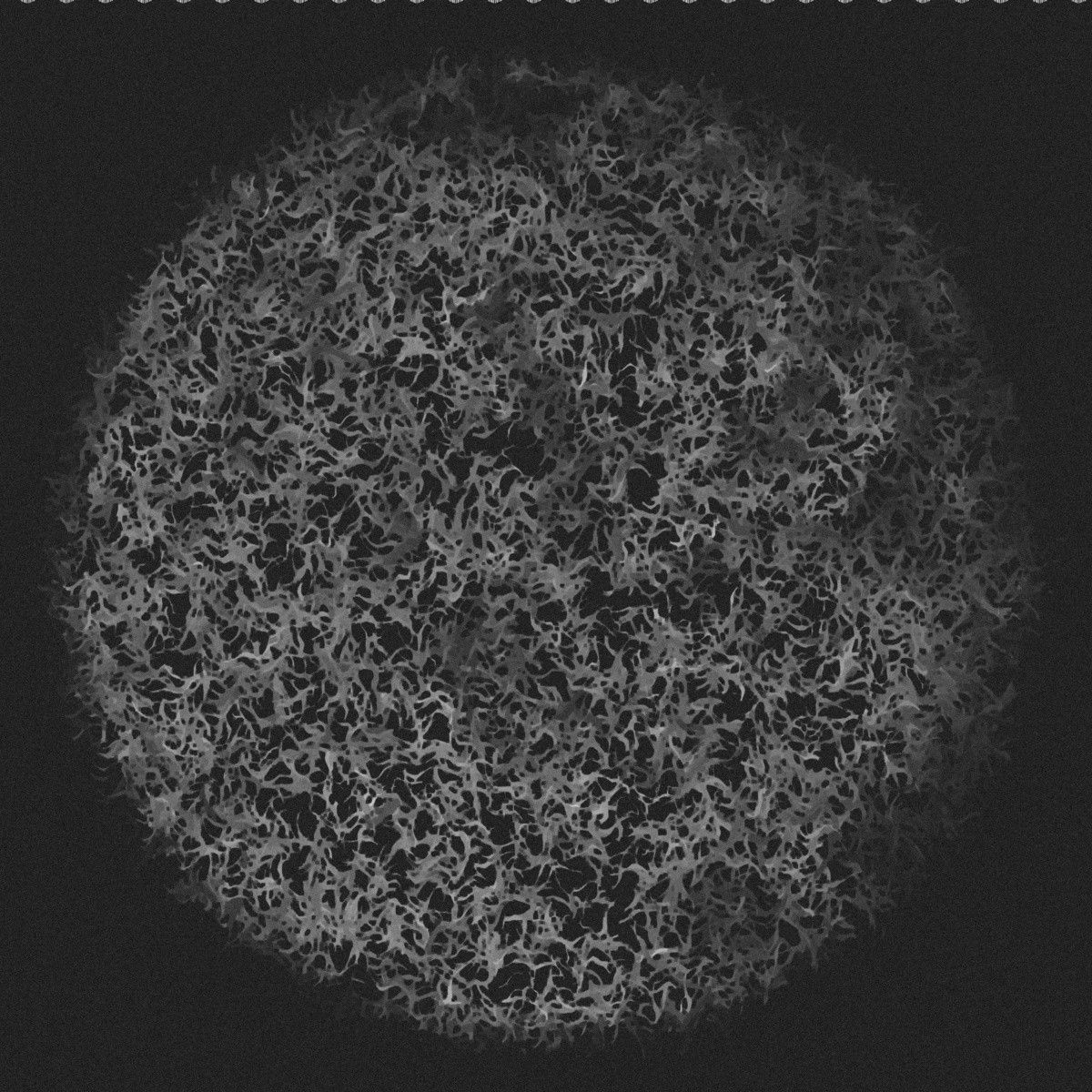 you are a world wayfarer 