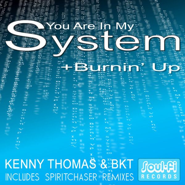 you are in my system bkt  