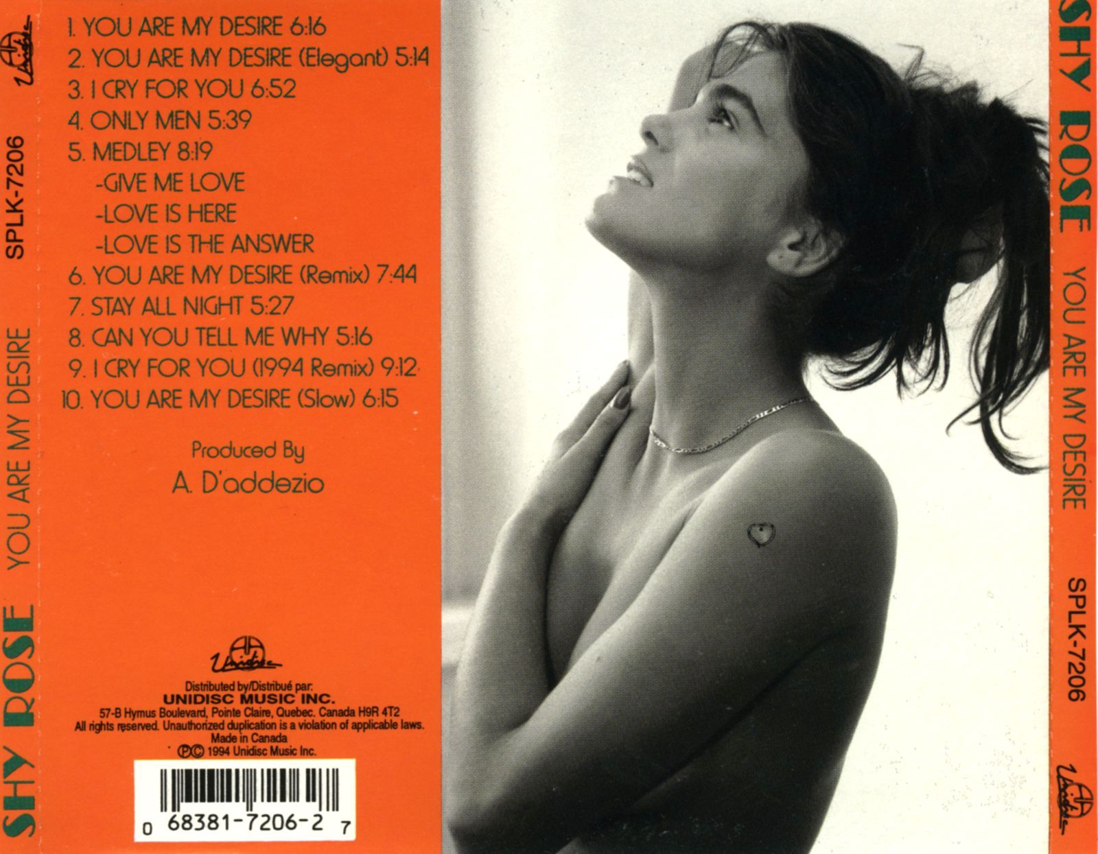 you are my desire shy rose 