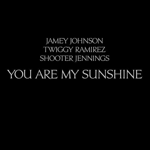you are my sunshine jamey johnson  