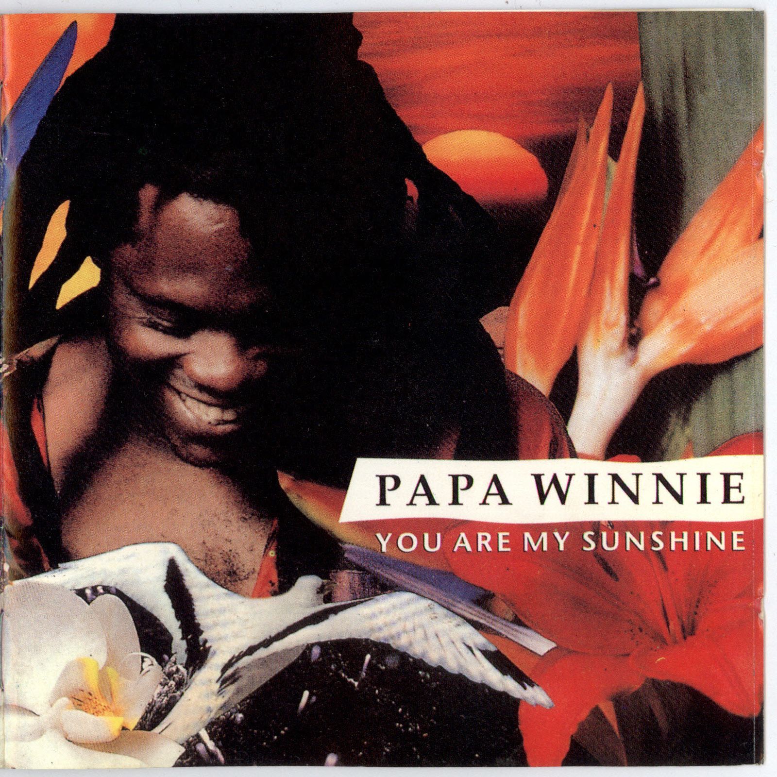 you are my sunshine papa winnie 