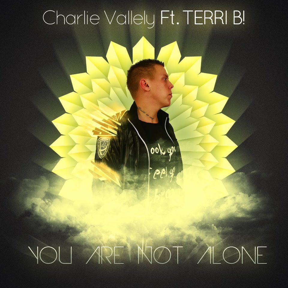 you are not alone charlie vallely 