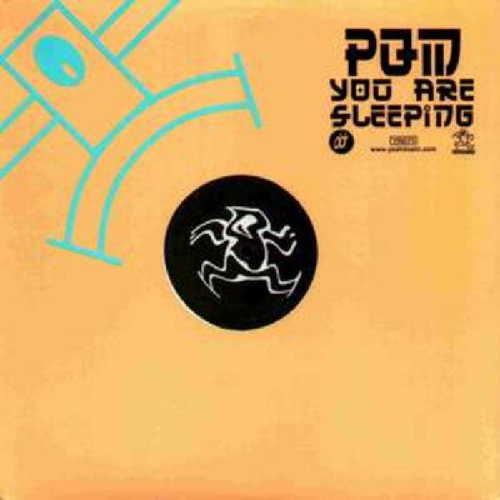 you are sleeping pqm 