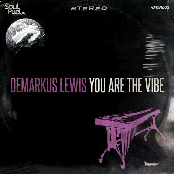 you are the vibe demarkus lewis  