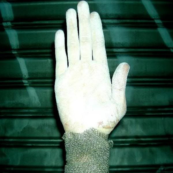 you kingdom you fires of rome 