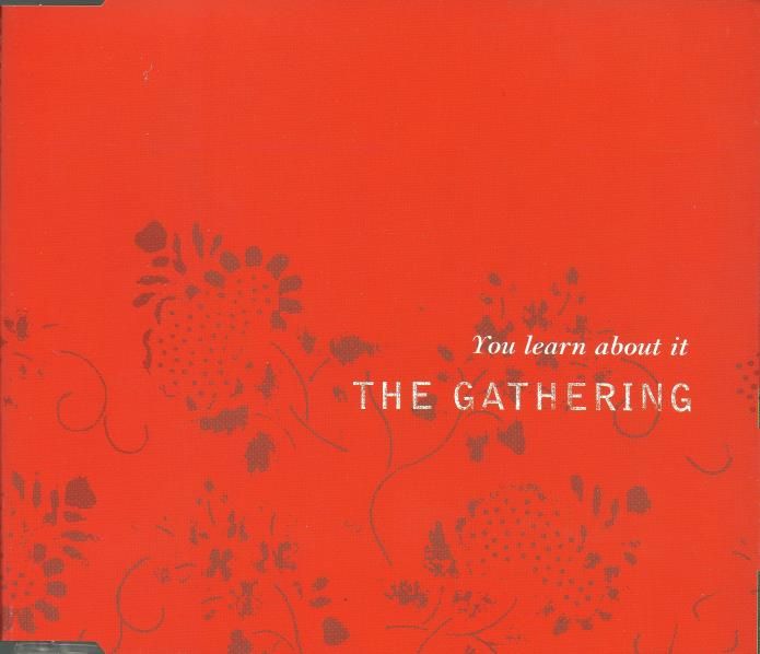 you learn about it the gathering 