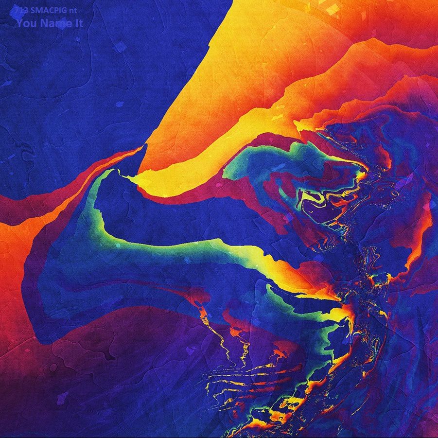 you name it 713 smacpig nt 