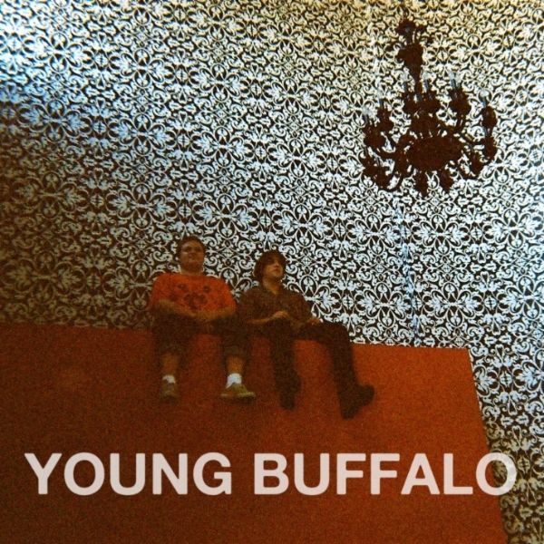 young buffalo young buffalo  