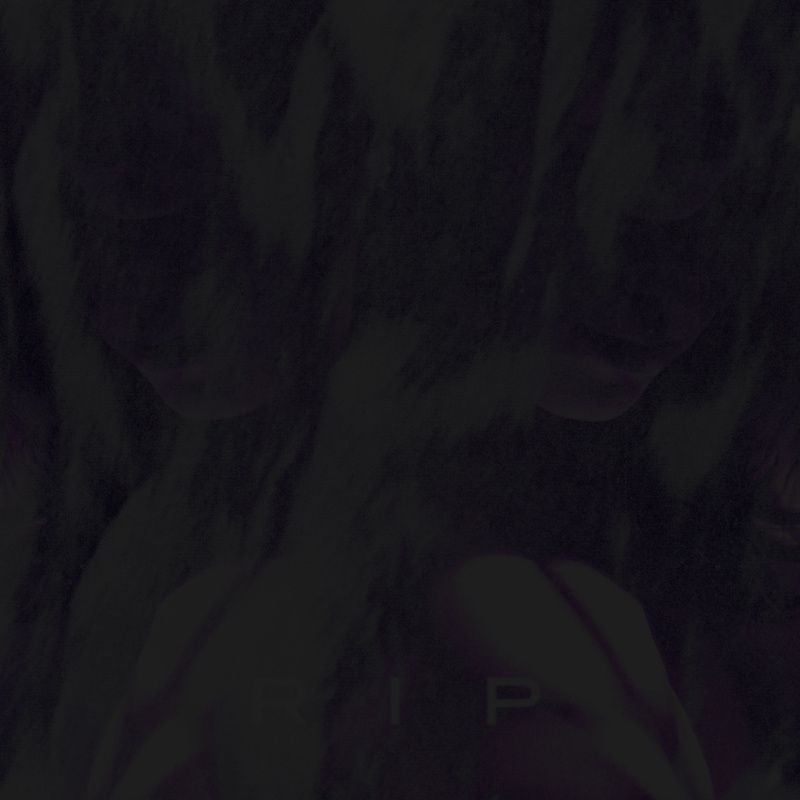 young montana young montana 