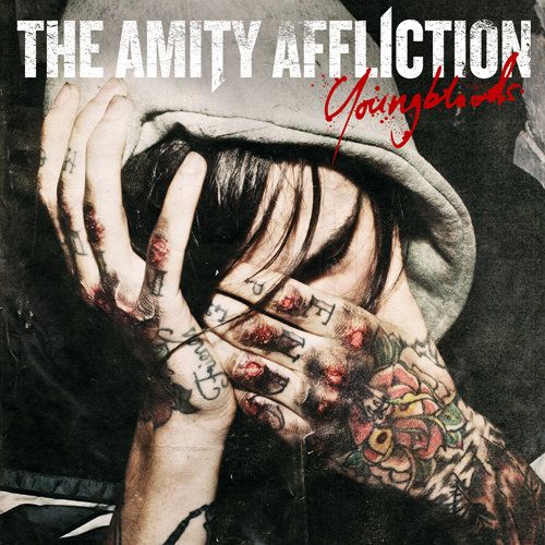 youngbloods the amity affliction 