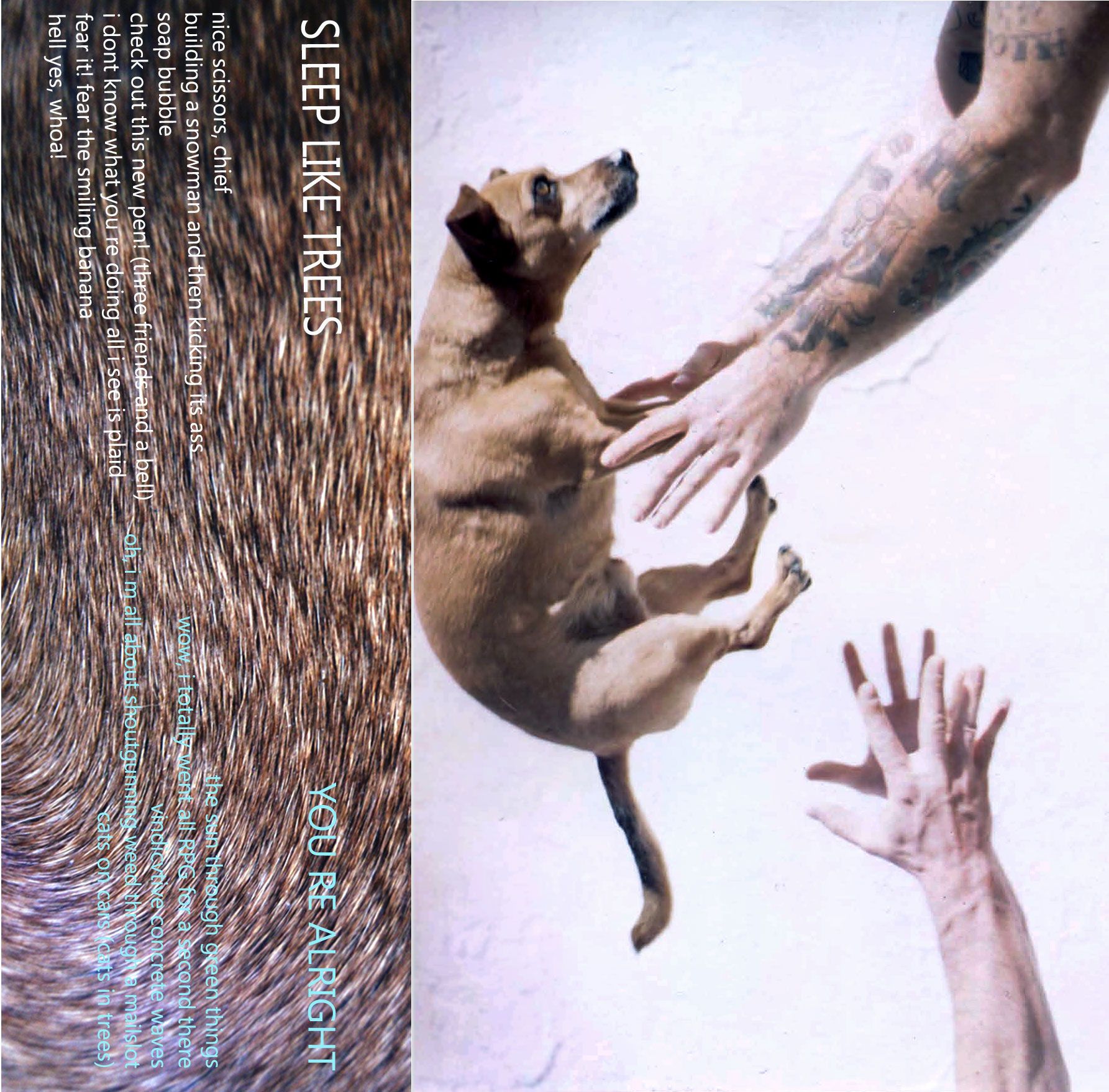 youre alright sleep like trees 