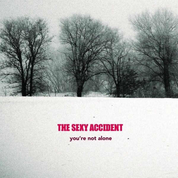 youre not alone the sexy accident 