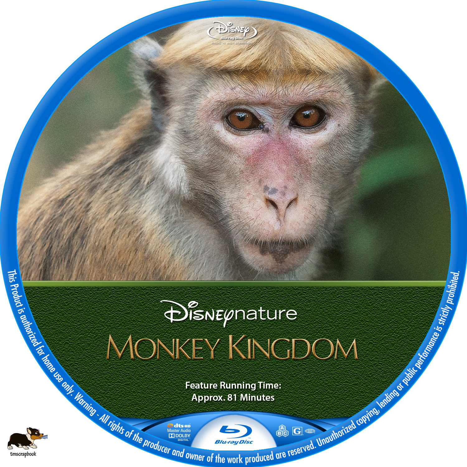 Monkey Kingdom R1   Label