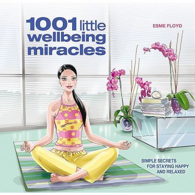 1001 Little Wellbeing Miracles 