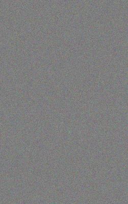 Borrowed Bride Historical Romance Lane Elizerbeth 