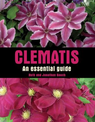Clematis Gooch Ruth 