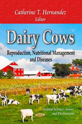 Dairy Cows 