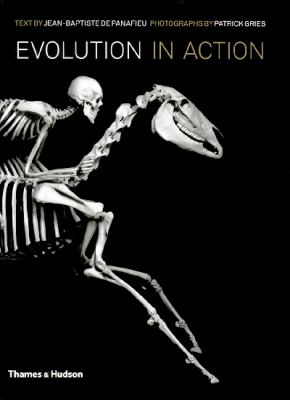 Evolution in Action Gries Patrick 