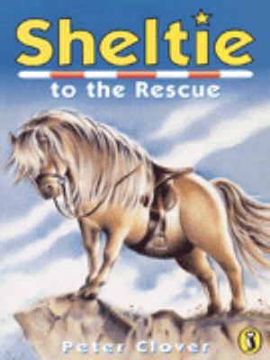 SHELTIE 5 Peter Clover 