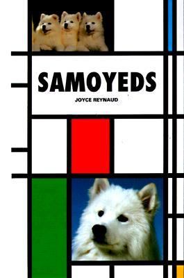 Samoyeds 